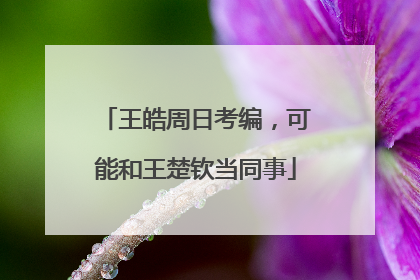 王皓周日考编，可能和王楚钦当同事